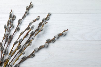 Photo of Beautiful bouquet of pussy willow branches on white wooden background, flat lay
