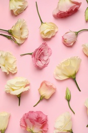 Photo of Beautiful Eustoma flowers on pink background, flat lay