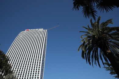 Photo of Batumi, Georgia - October 12, 2022: Mariott building and palm tree against blue sky, low angle view
