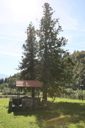 Stylish gazebo, coniferous trees and green grass outdoors on sunny day