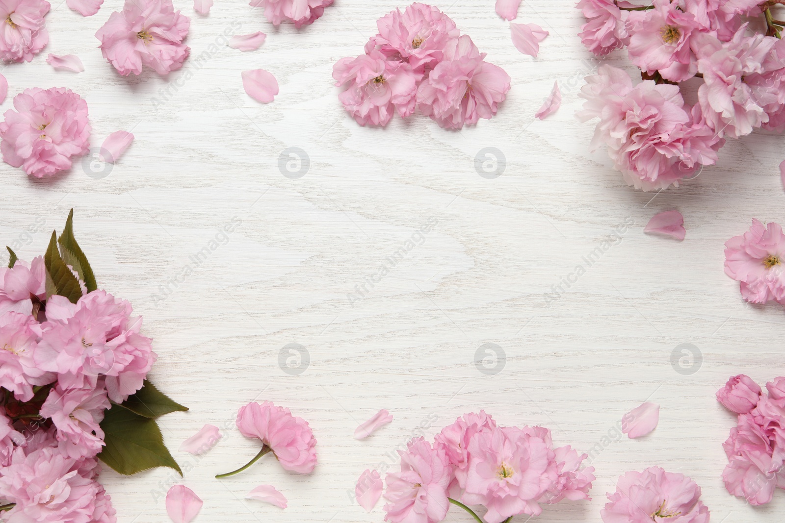 Photo of Beautiful frame of sakura tree blossoms on white wooden table, flat lay. Space for text