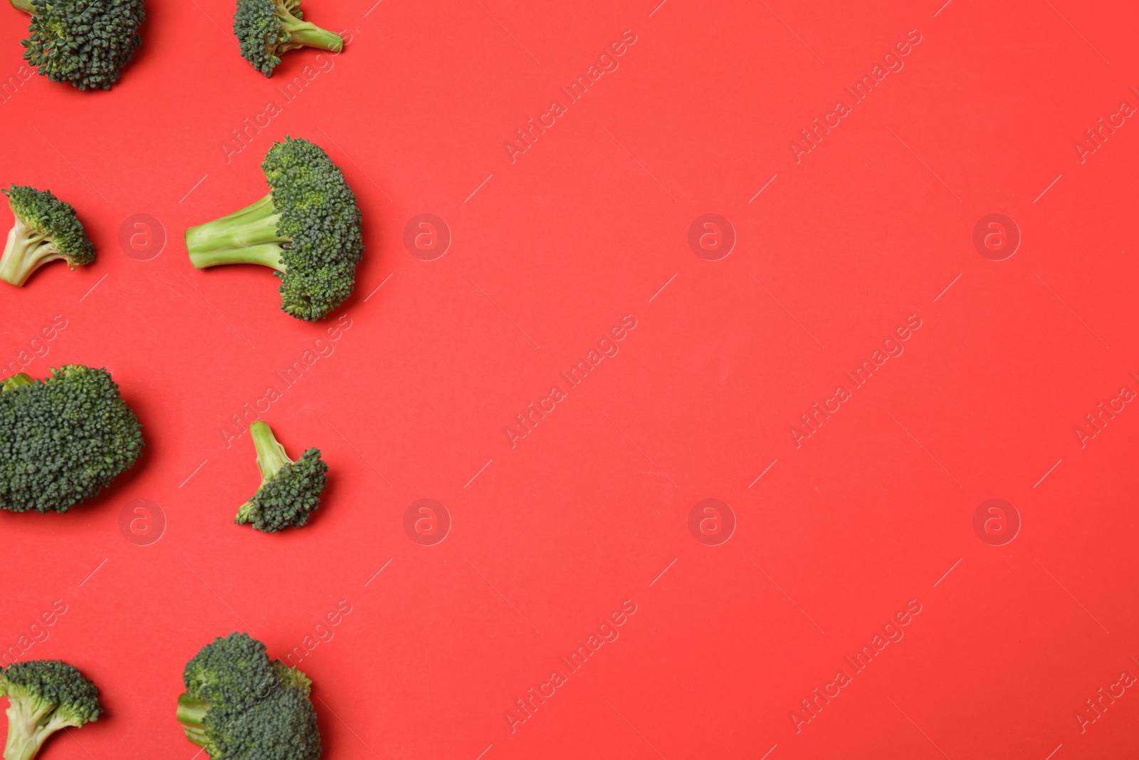 Photo of Fresh tasty broccoli on red background, flat lay. Space for text