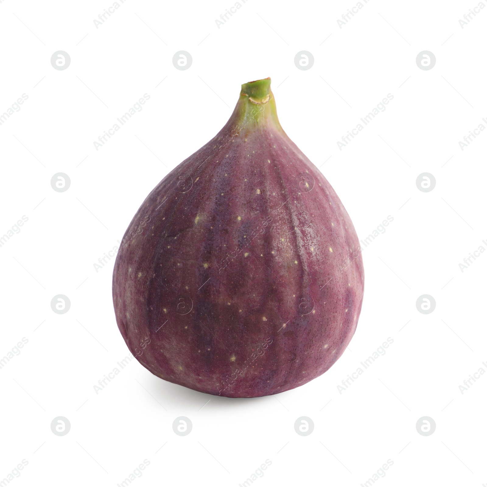 Photo of Whole ripe fresh fig isolated on white