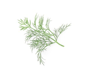 Photo of Sprig of fresh dill isolated on white, top view