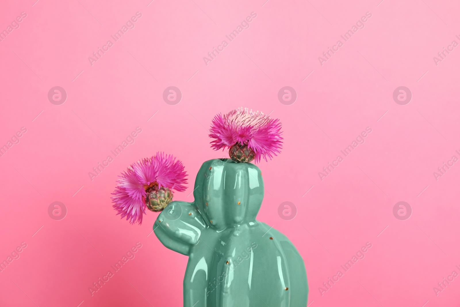 Photo of Trendy cactus shaped ceramic vase with flowers on color background