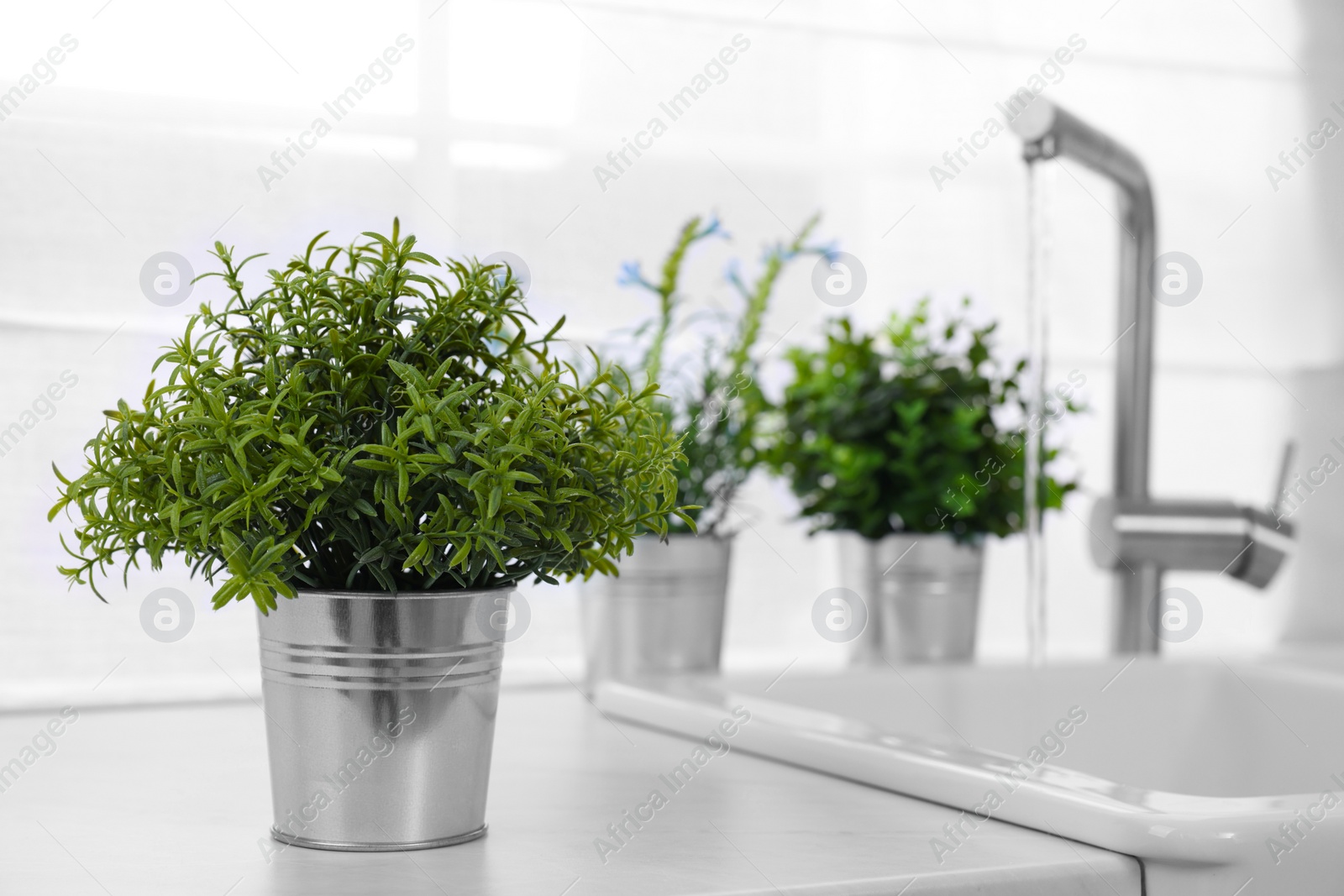 Photo of Different potted artificial plants on countertop in kitchen, space for text. Home decor