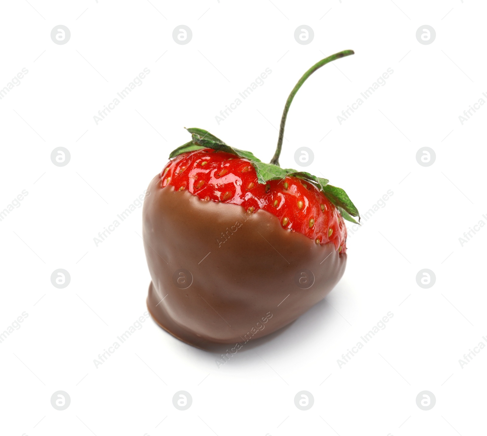 Photo of Delicious chocolate covered strawberry on white background