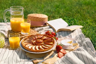 Photo of Blanket with different products and book on green grass. Summer picnic