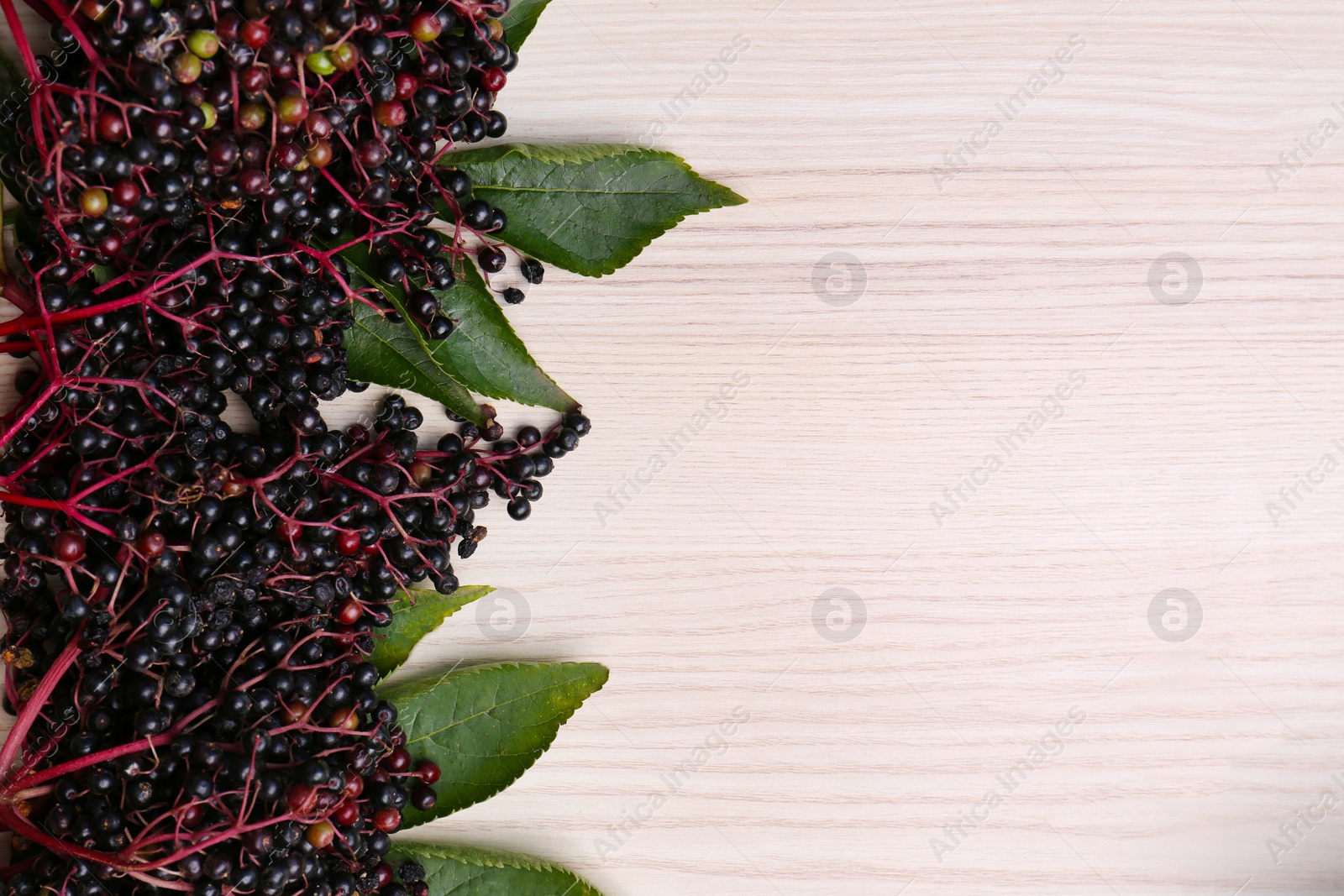 Photo of Tasty elderberries (Sambucus) on wooden table, top view. Space for text