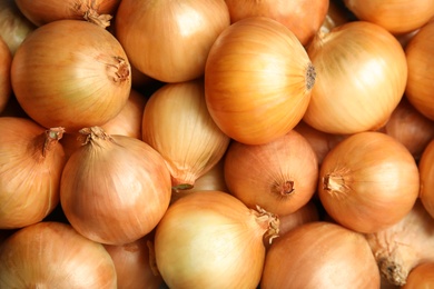 Photo of Ripe onion bulbs as background, top view