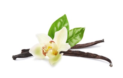 Dried aromatic vanilla sticks, beautiful flower and green leaves on white background