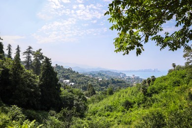 Picturesque view of trees in mountains near sea