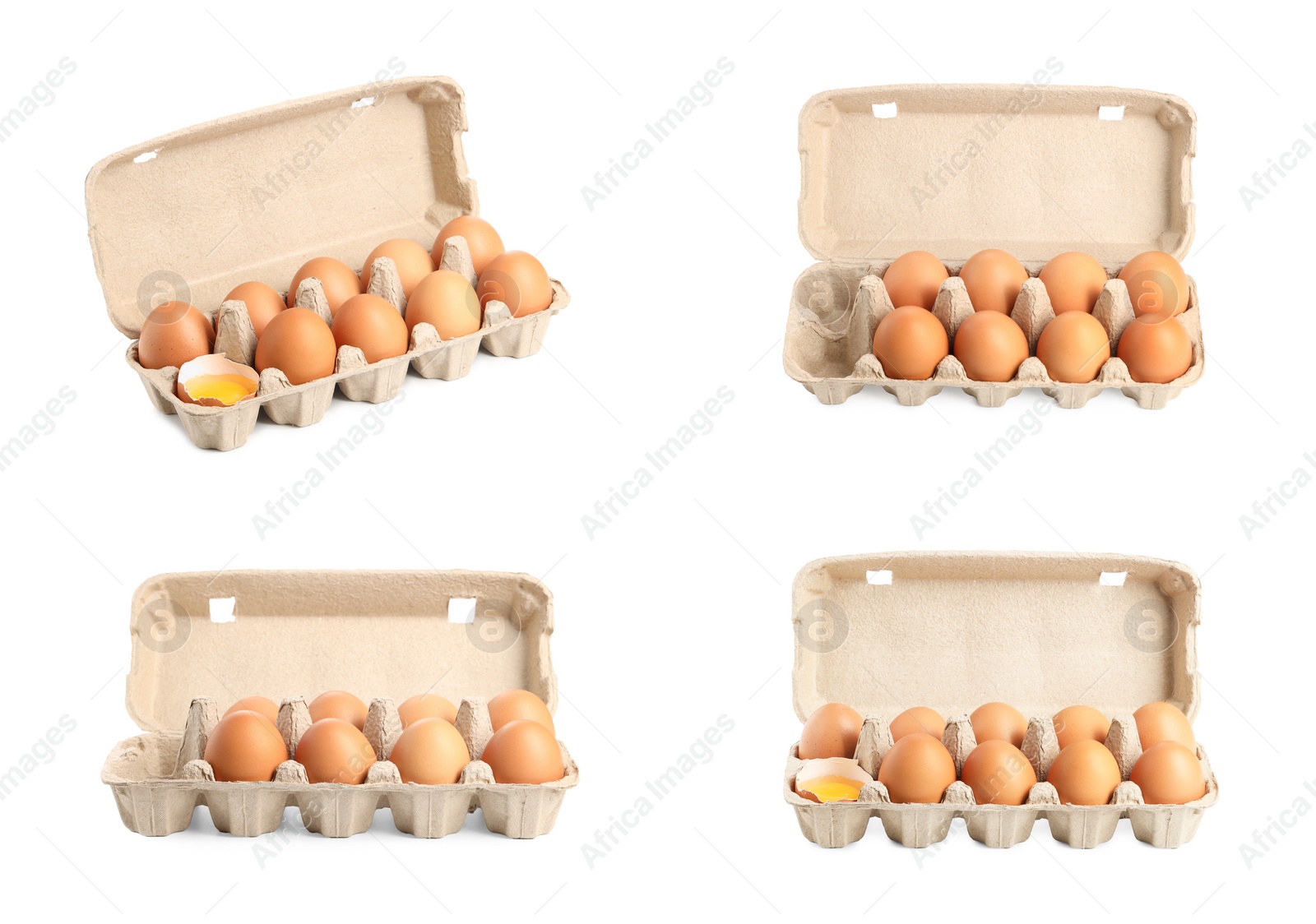 Image of Many eggs in cartons on white background, set