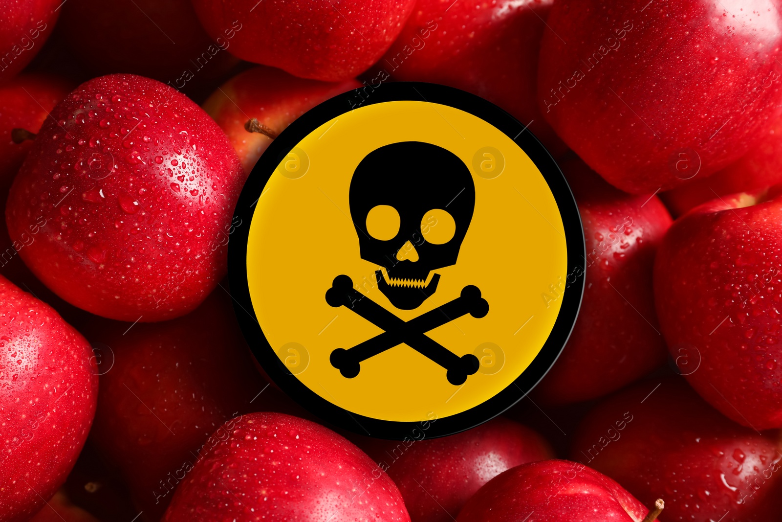 Image of Skull and crossbones sign on fresh apples, closeup. Be careful - toxic