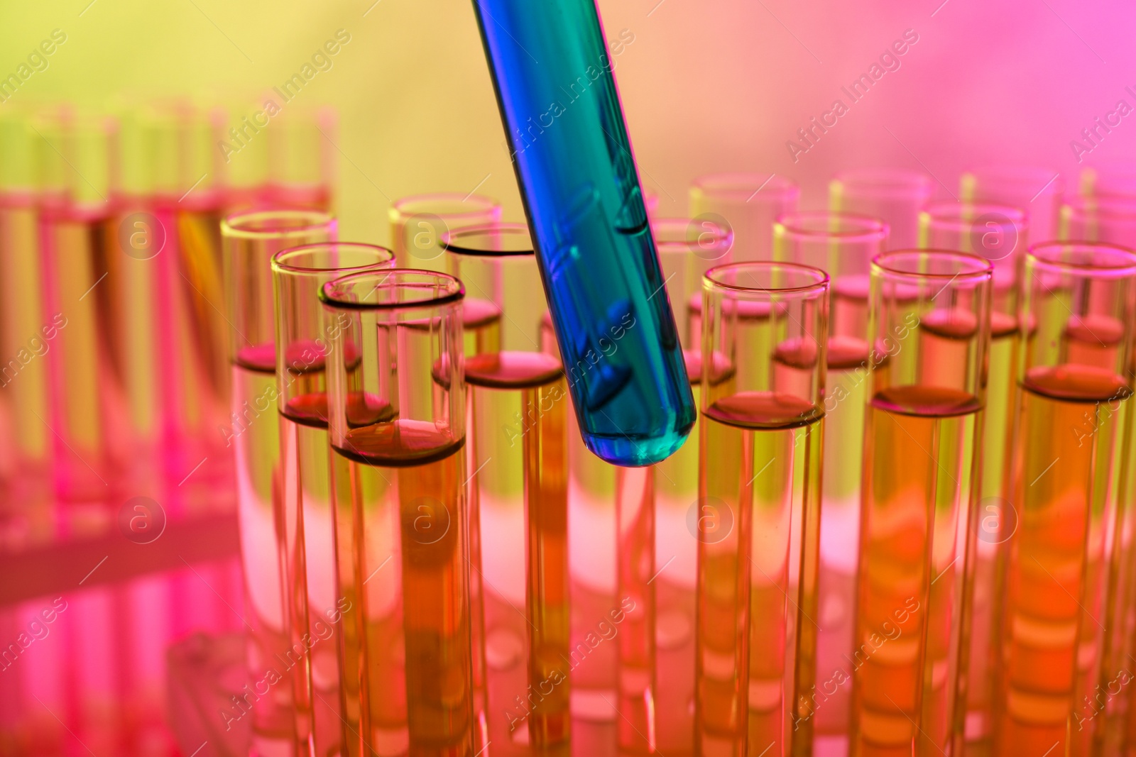 Photo of Taking test tube with blue liquid sample, closeup. Color tone effect