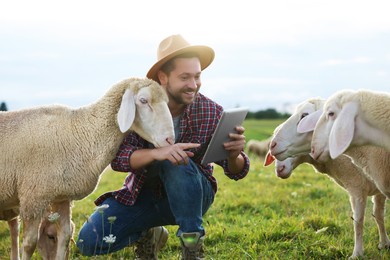 Photo of Smiling man with tablet and sheep on pasture at farm