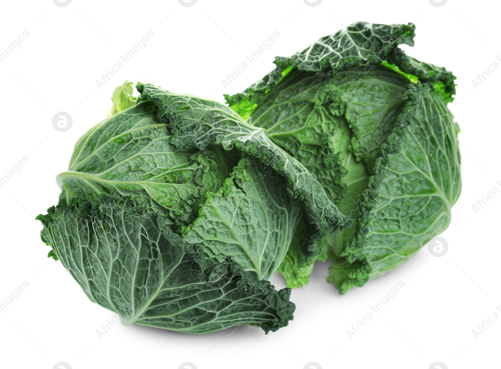 Photo of Fresh ripe savoy cabbages on white background