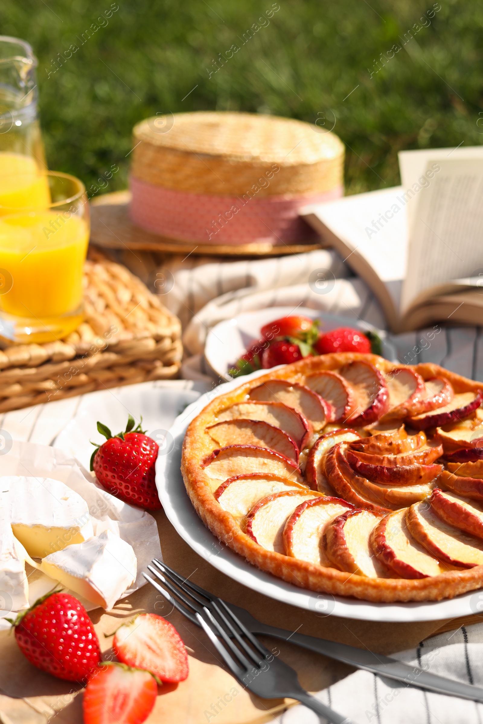 Photo of Blanket with different products and book on green grass. Summer picnic