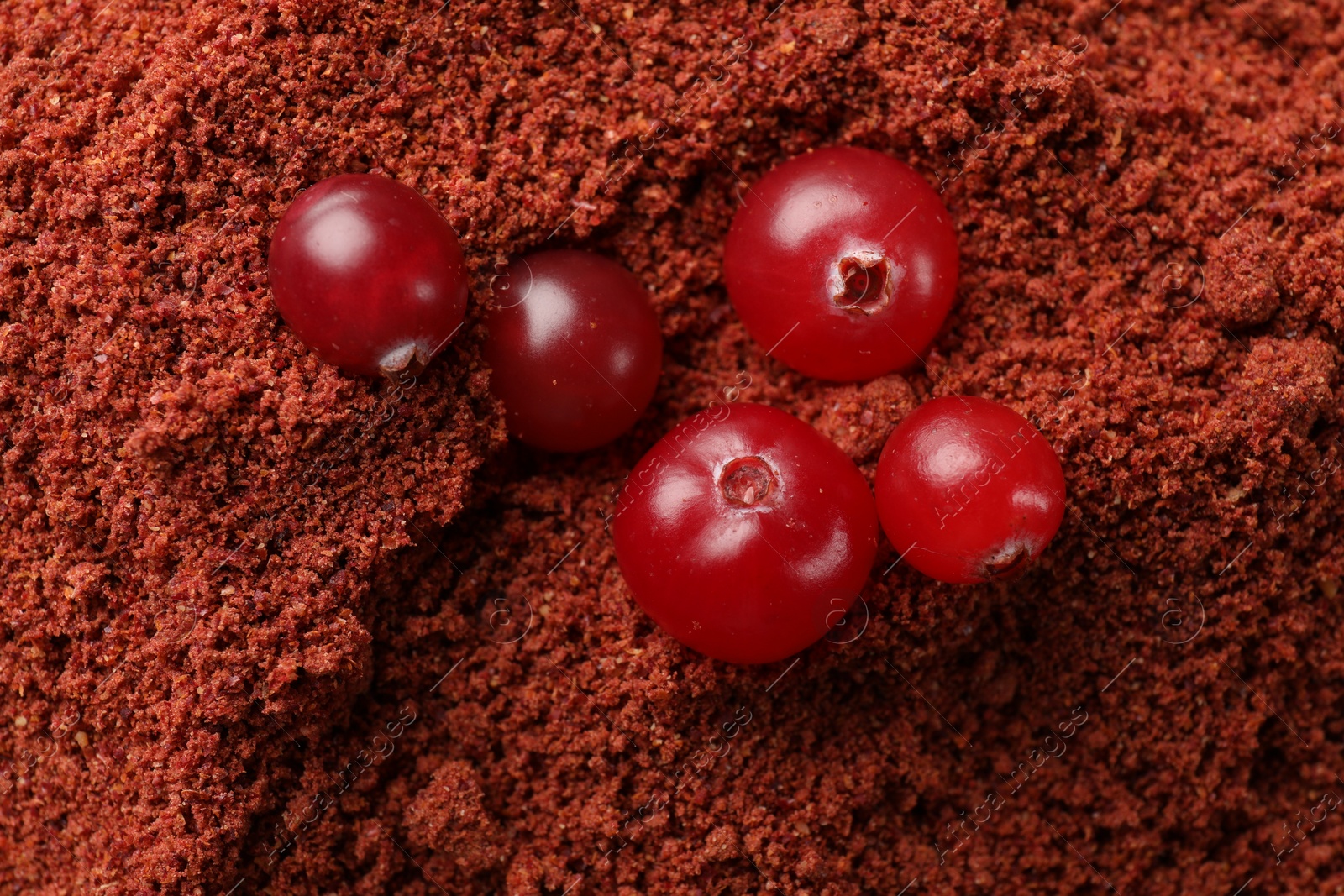 Photo of Fresh berries on cranberry powder, top view