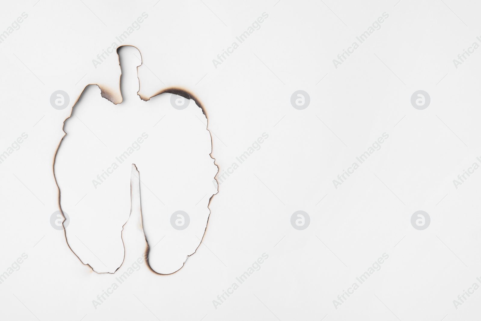 Photo of No smoking concept. Lungs with burnt borders made of paper on white background, top view and space for text