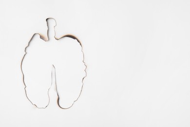 Photo of No smoking concept. Lungs with burnt borders made of paper on white background, top view and space for text