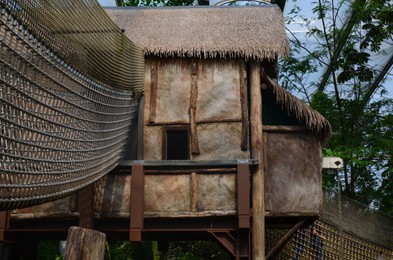 Photo of Beautiful wooden structure with rope bridge in greenhouse