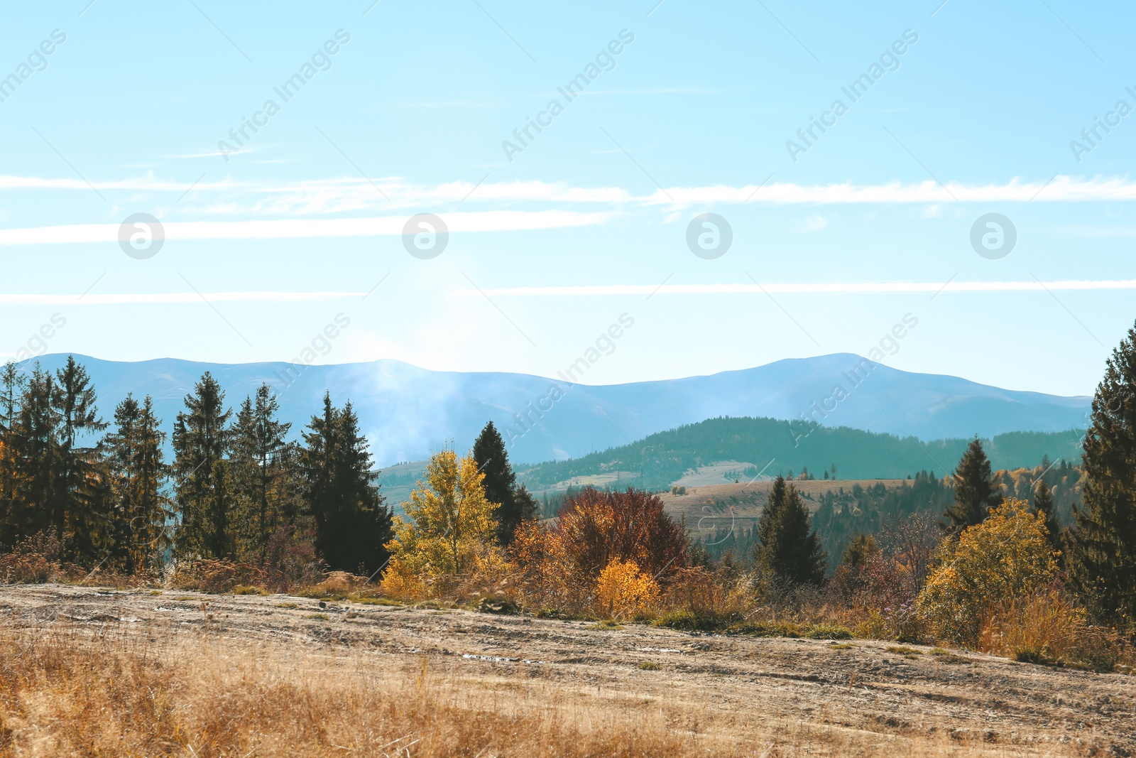 Photo of Picturesque landscape with beautiful forest and mountains