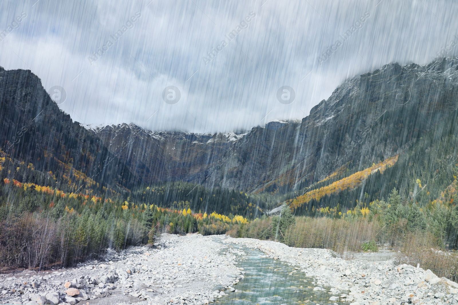 Image of Picturesque view of river in mountains with forest on rainy day