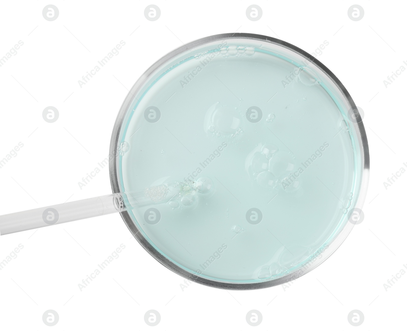 Photo of Petri dish with light blue liquid sample and pipette on white background, top view