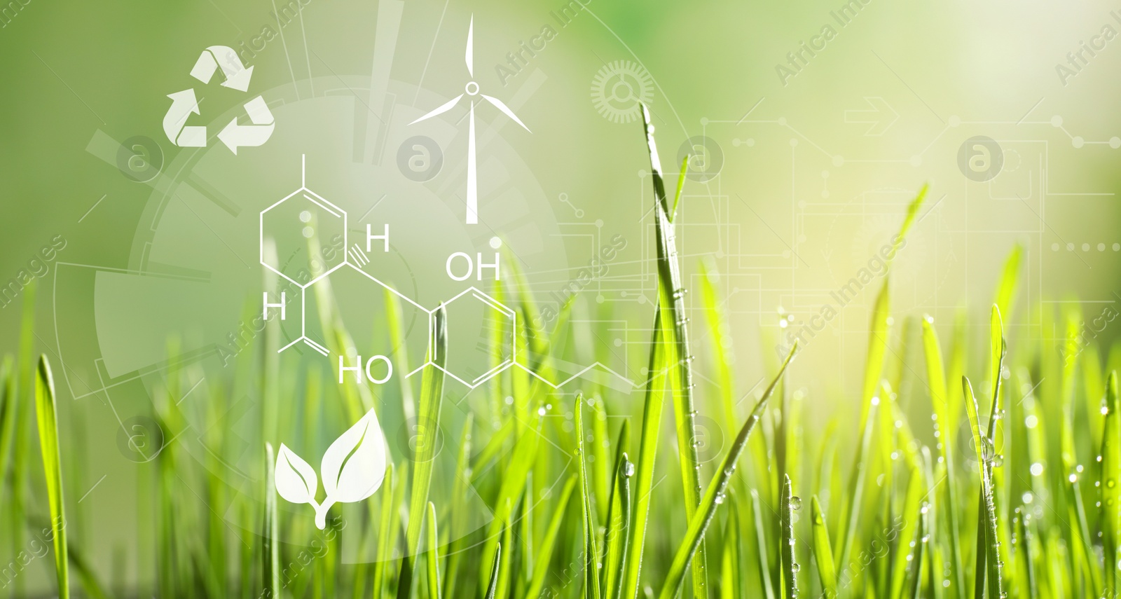 Image of Illustration of chemical formula and green grass with dew drops on blurred background, closeup