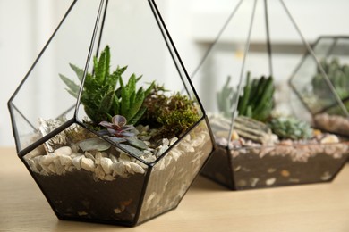 Photo of Glass florarium vases with succulents on wooden table indoors