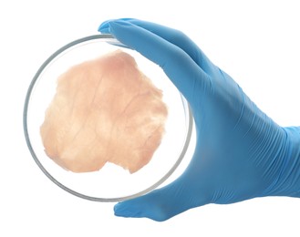 Scientist holding Petri dish with piece of raw cultured meat on white background, top view