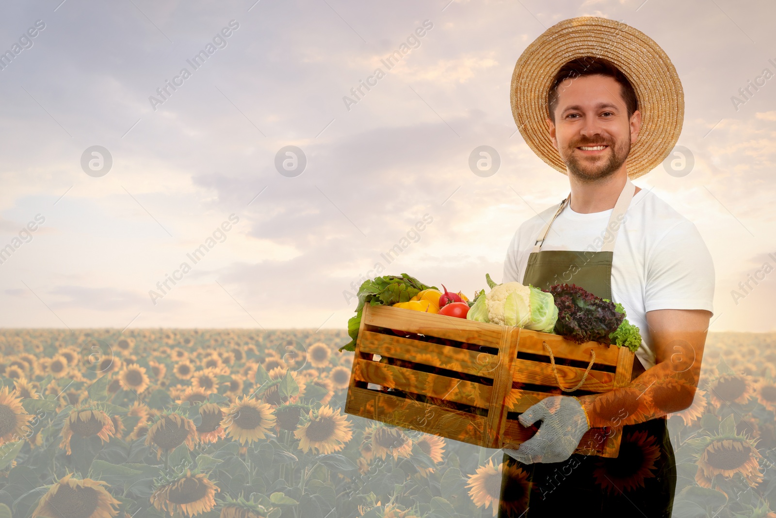 Image of Double exposure of happy farmer and sunflower field. Space for text