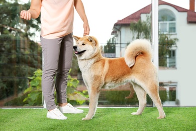 Photo of Young woman and adorable Akita Inu dog indoors. Champion training