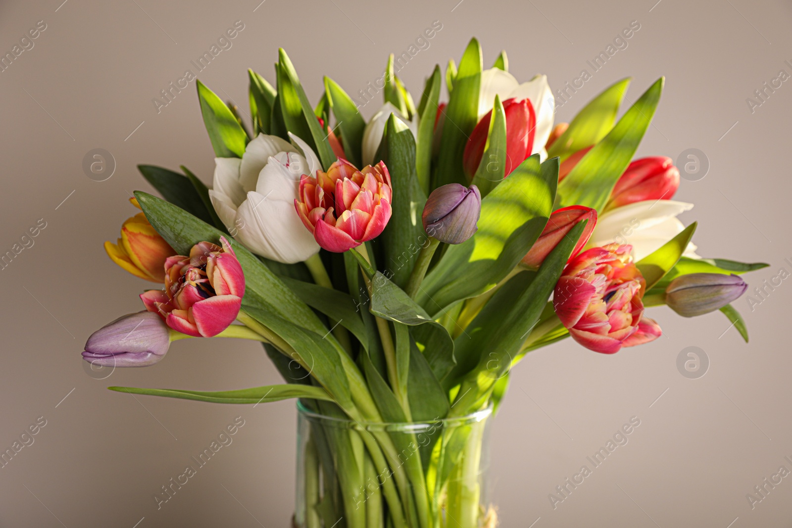 Photo of Beautiful bouquet of colorful tulips in glass vase on beige background