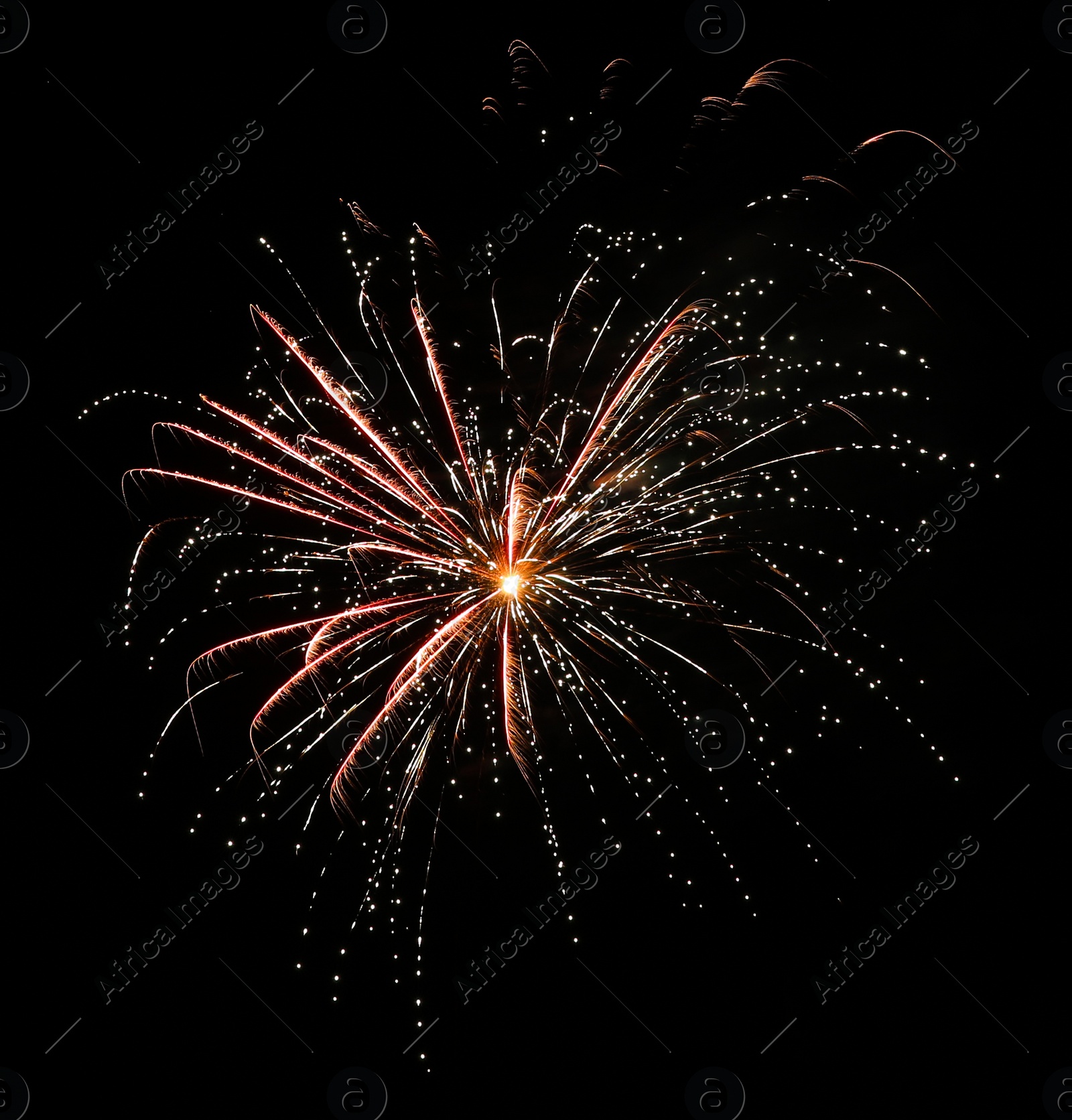 Photo of Beautiful bright firework lighting up night sky