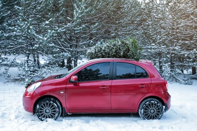 Photo of Car with Christmas tree on roof in snowy winter forest