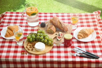 Different tasty food and lemonade on picnic blanket