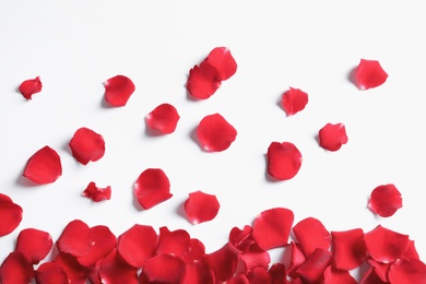 Photo of Red rose petals on white background, top view