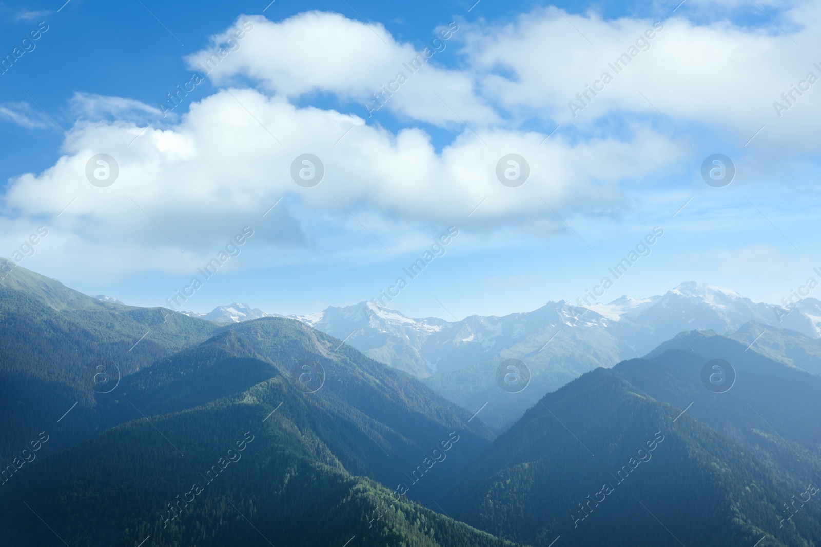 Photo of Aerial view of beautiful landscape with mountain forest on sunny day