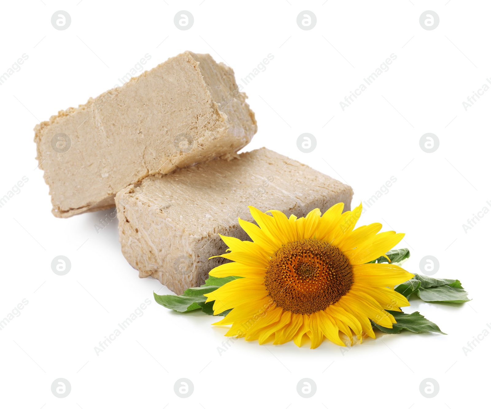 Image of Tasty halva and sunflower isolated on white