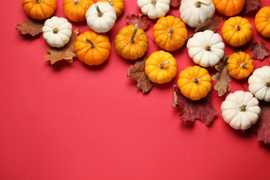 Photo of Thanksgiving day. Flat lay composition with pumpkins on red background, space for text