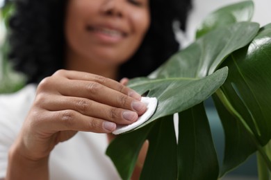 Photo of Closeup of woman wiping beautiful monstera leaves. Houseplant care