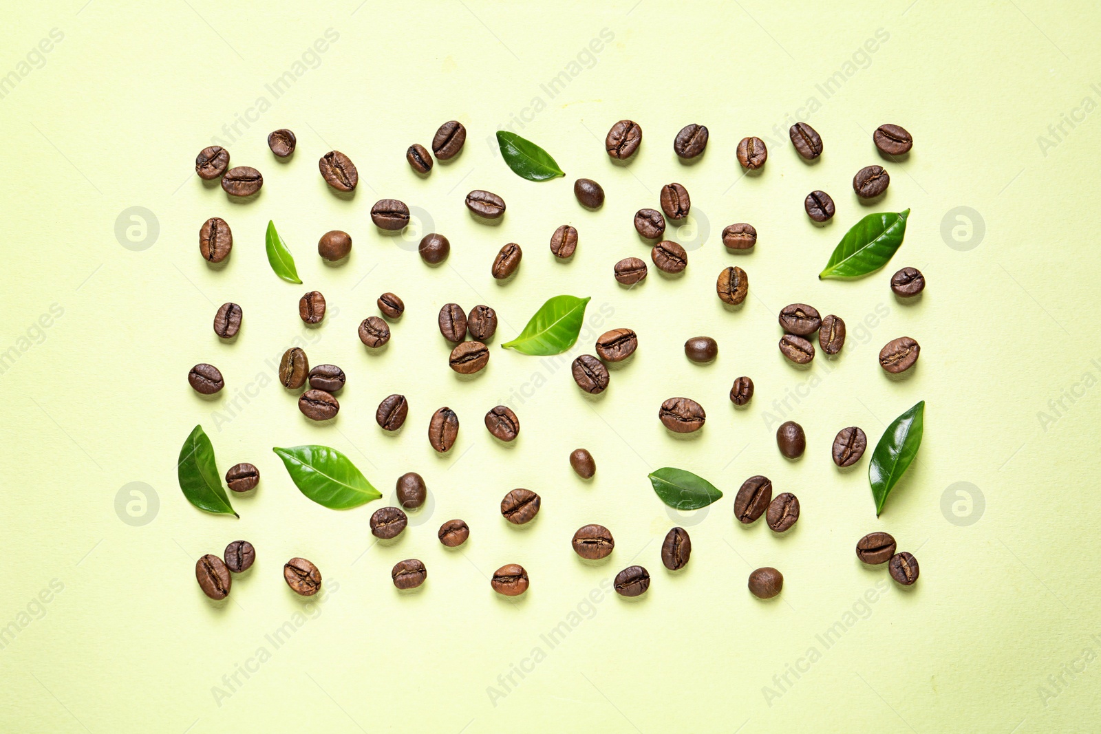 Photo of Fresh green coffee leaves and beans on light green background, flat lay