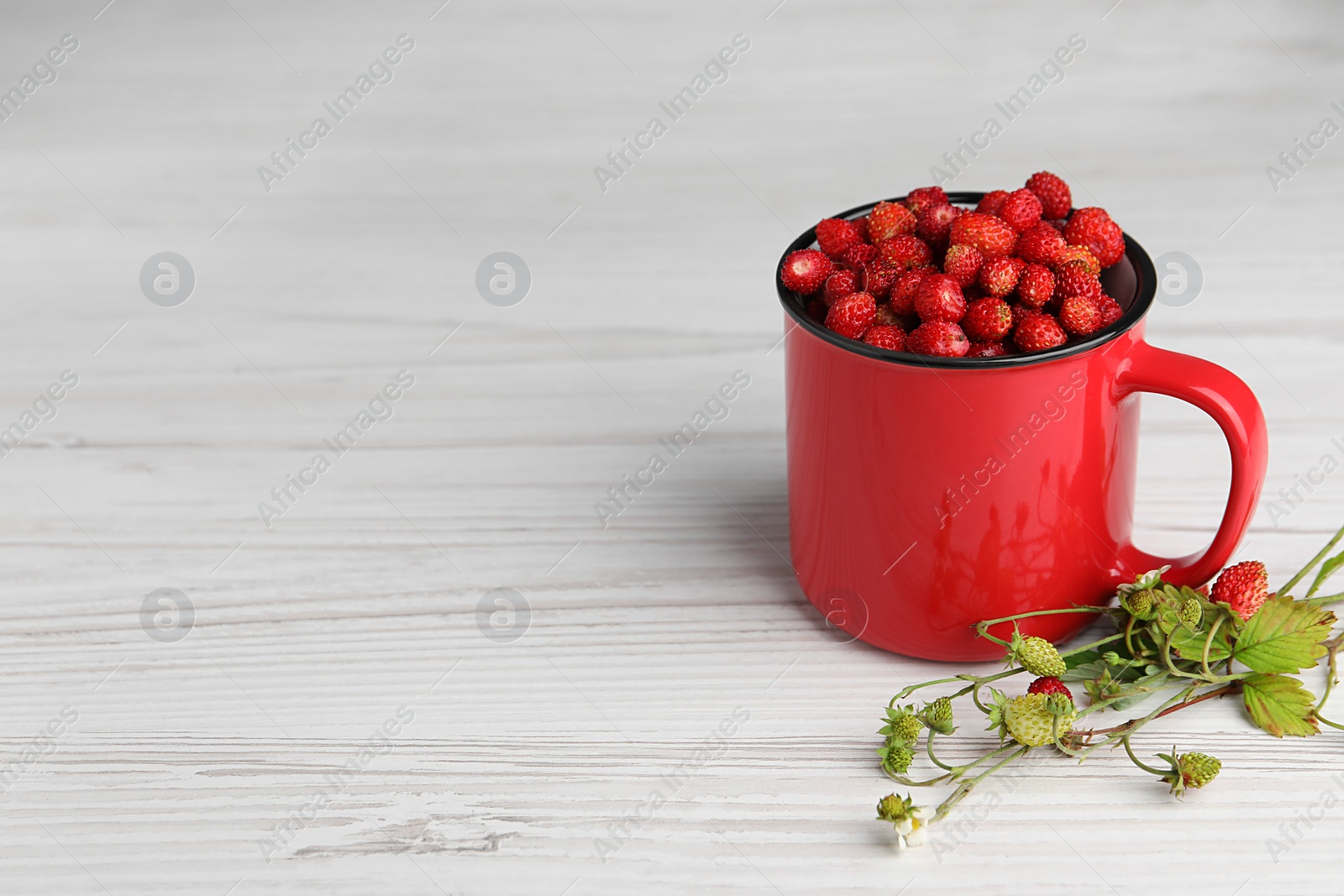 Photo of Fresh wild strawberries in mug and green stems on white wooden table. Space for text