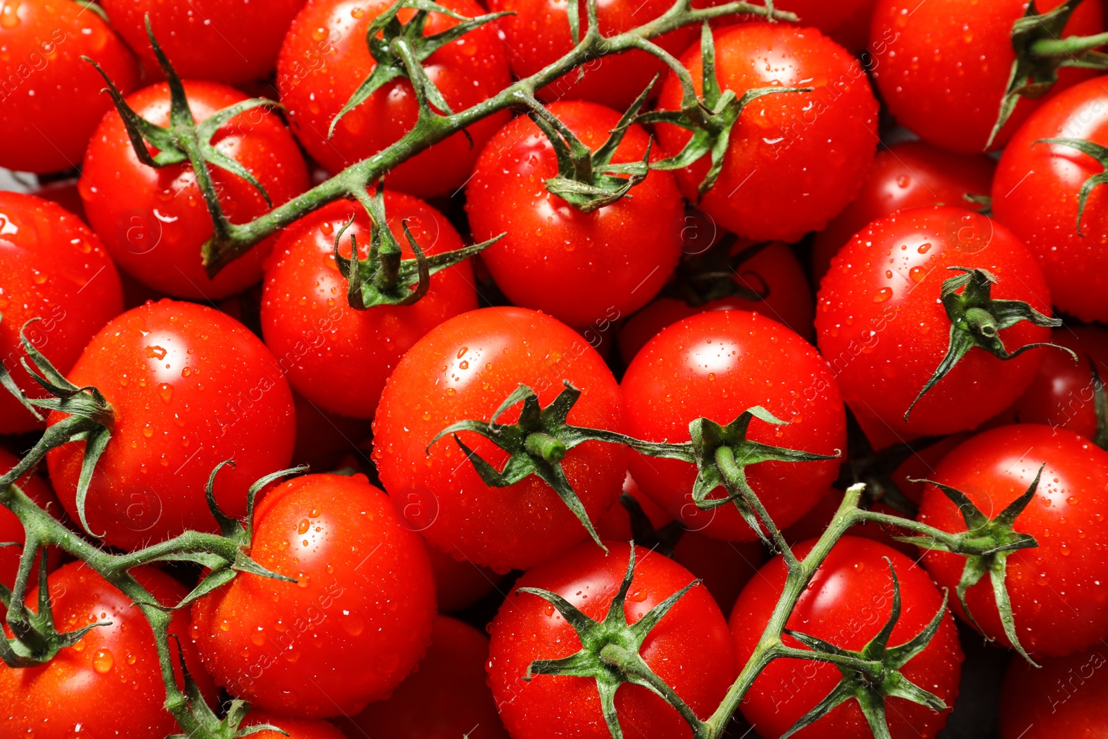 Photo of Delicious ripe cherry tomatoes with water drops as background, above view