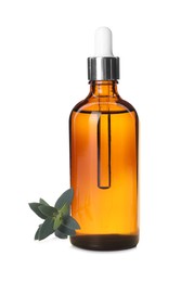 Photo of Bottle of hydrophilic oil and green branch on white background