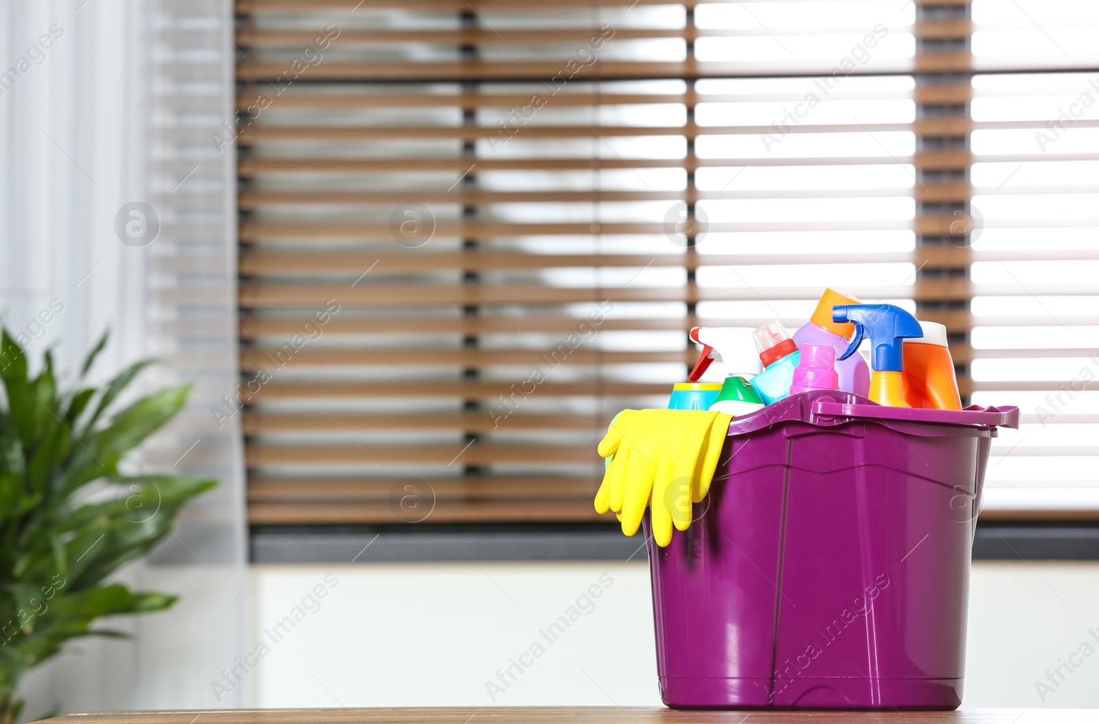 Photo of Plastic bucket with different cleaning products on table indoors, space for text