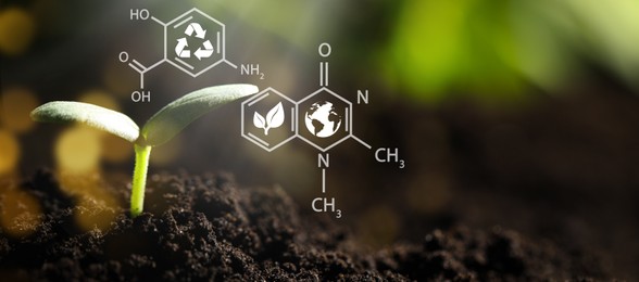 Image of Illustration of chemical formula and young seedling growing in soil outdoors, closeup view with space for text. Banner design