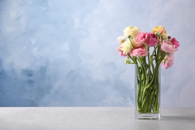 Photo of Beautiful ranunculus flowers in glass vase on table. Space for text
